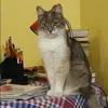 Отзыв от Лия Озерова